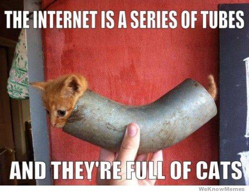 the-internet-is-a-series-of-tubes-and-theyre-full-of-cats.jpg