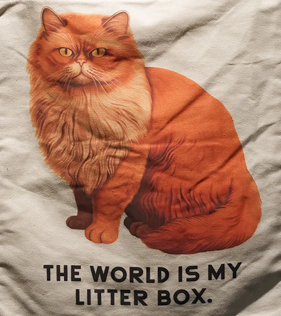 The World Is My Litter Box (MOG Oreston 50mm f1.8).webp
