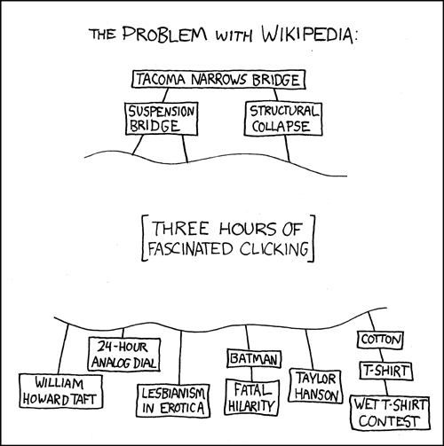 the_problem_with_wikipedia.png