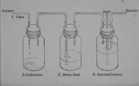Threebottles.jpg