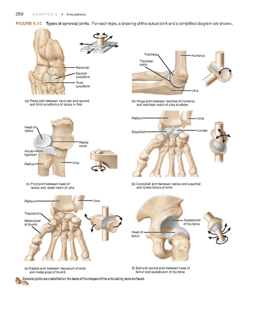 thumb_1200_1411.png