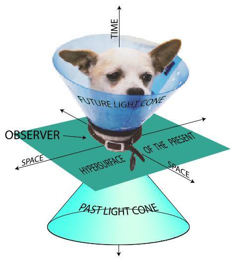 Time%2C_in_Dog_Years.jpg
