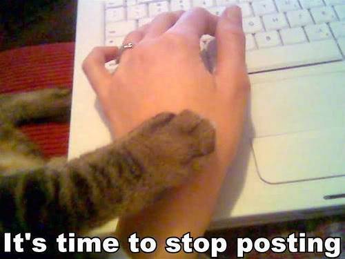 time-to-stop-posting-cat-cats-kitten-kitty-pic-picture-funny-lolcat-cute-fun-lovely-photo-images.jpg