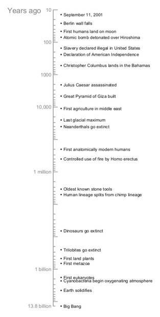 timeline.jpg