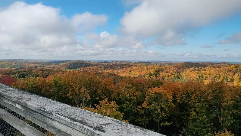 Timms Hill 9-28-2026.webp