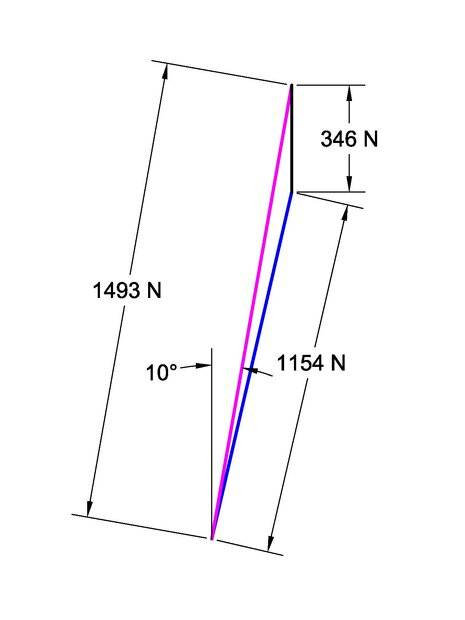 Torque biomechanics.jpg