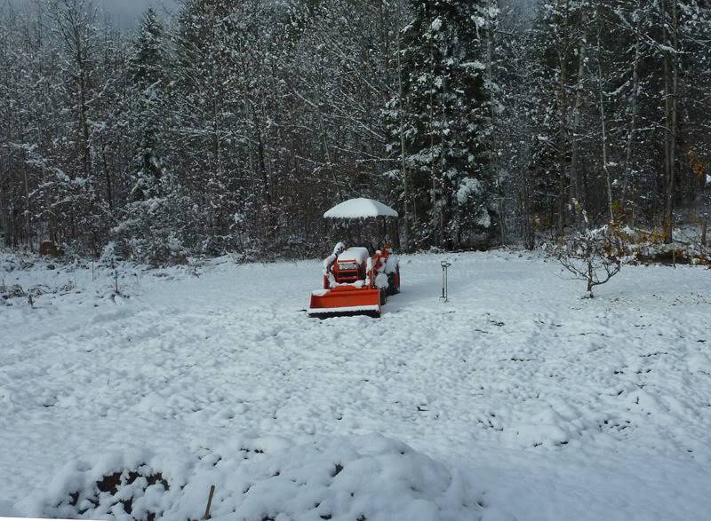 tractorsnow.jpg