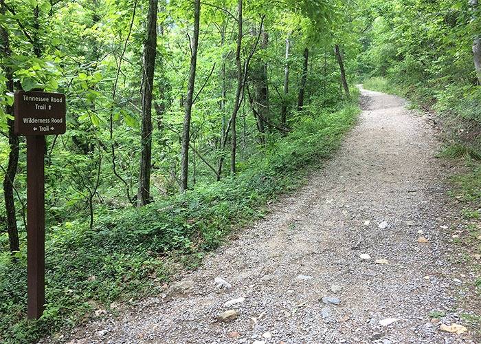 trail.jpg