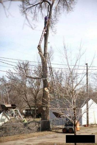 tree-ladder-fail.jpg