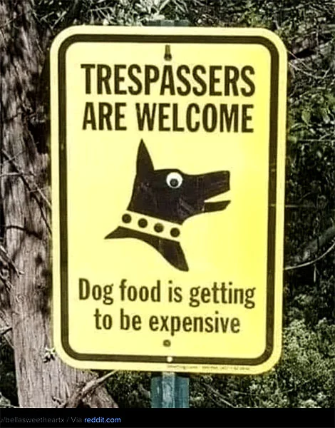 trespassers.webp