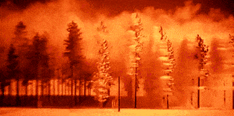 tumblr_ac68233555396dc46d675421ec96dd68_ec226b90_400.gif