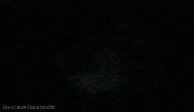 tumblr_mjnzoosFHq1rfuijjo2_r2_400.gif