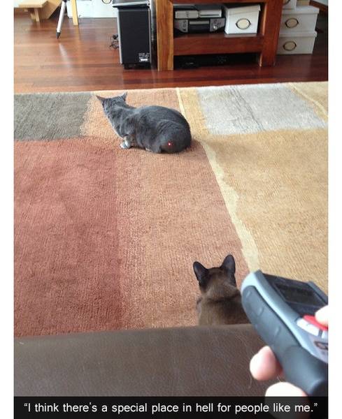 tumblr_mkffbbqk5m1qewacoo1_500.jpg