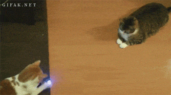 tumblr_n5b8pcmAGT1qewacoo1_400.gif