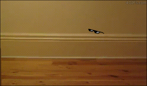 tumblr_n5wl8cGA9j1qdlh1io1_500.gif