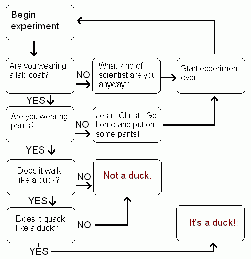 Turing_Duck_Test.gif