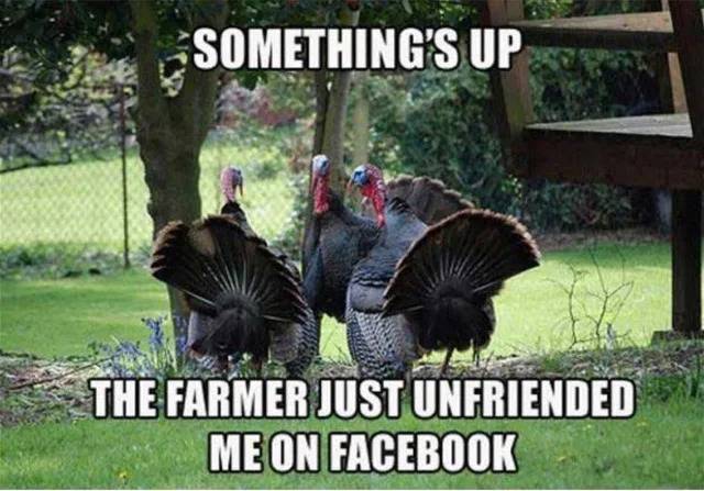 Turkey unfriended.jpg
