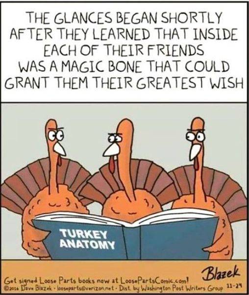 Turkey Wish Bones.jpg