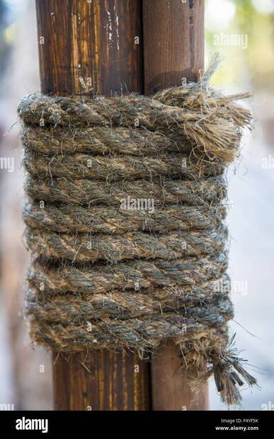 und-the-rods-to-seized-the-rods-to-the-pole-F4YF5K.jpg