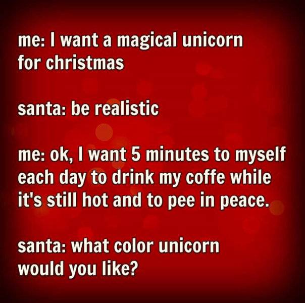 unicorn for Christmas.jpg