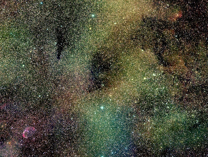 Untitled 2.webp