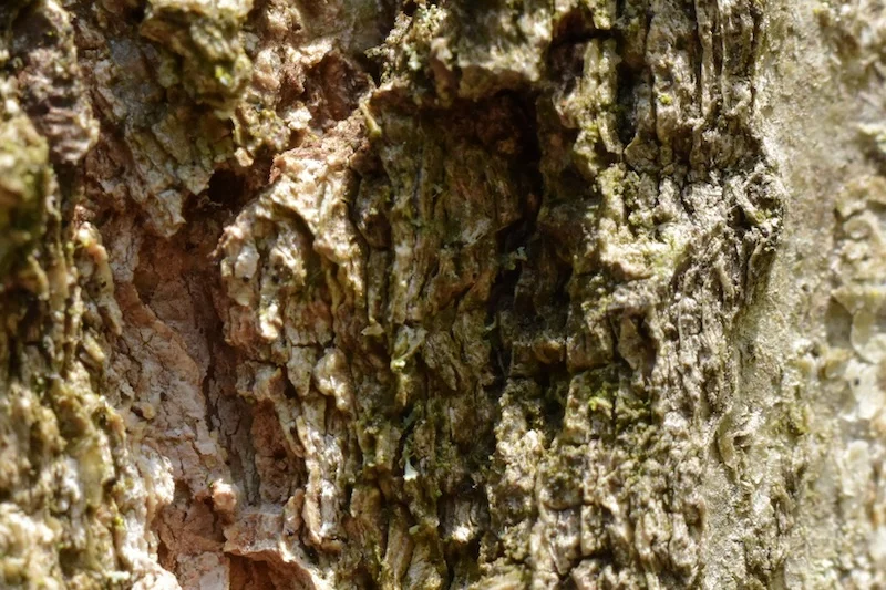 Untitled.webp