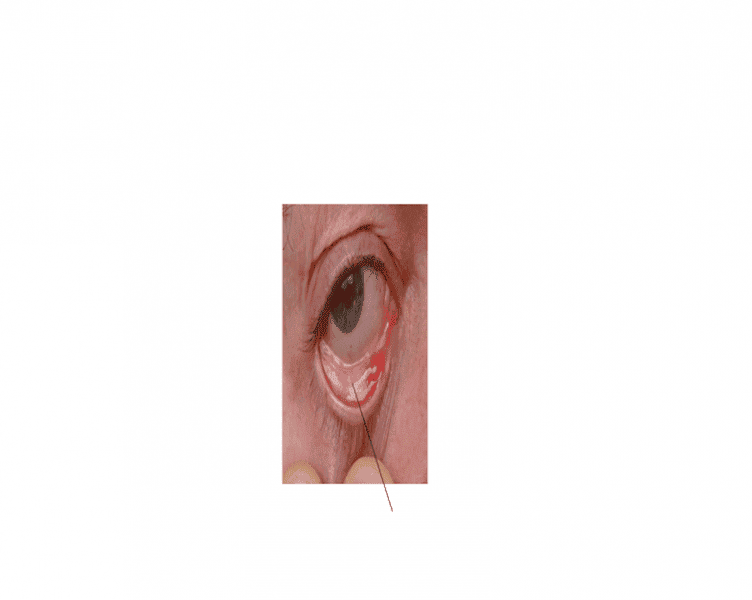 upload_2014-12-9_19-25-10.png