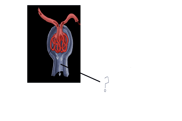 upload_2015-2-6_13-38-32.png