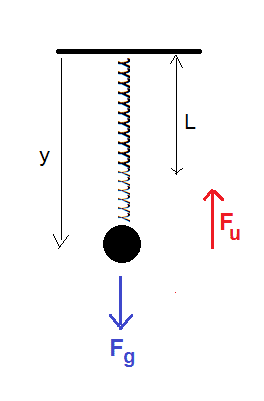 Elastic Pendulum with Newton's equations of motion