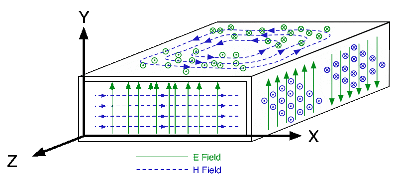 vectors.gif