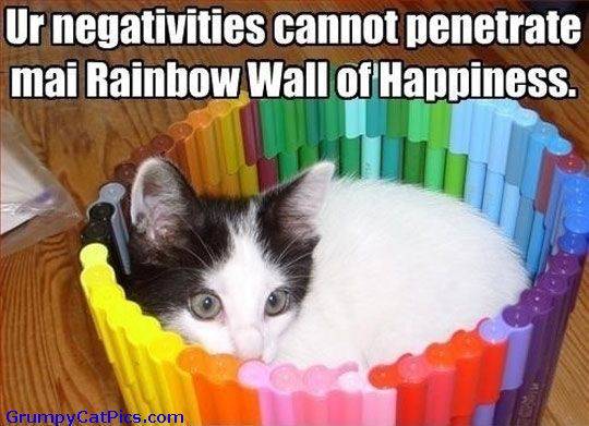 Very-Optimistic-Cat-Is-Shielded-Nice-Cute-Picture.jpg