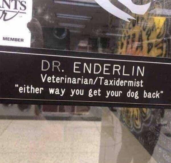 vet-taxidermist.jpg