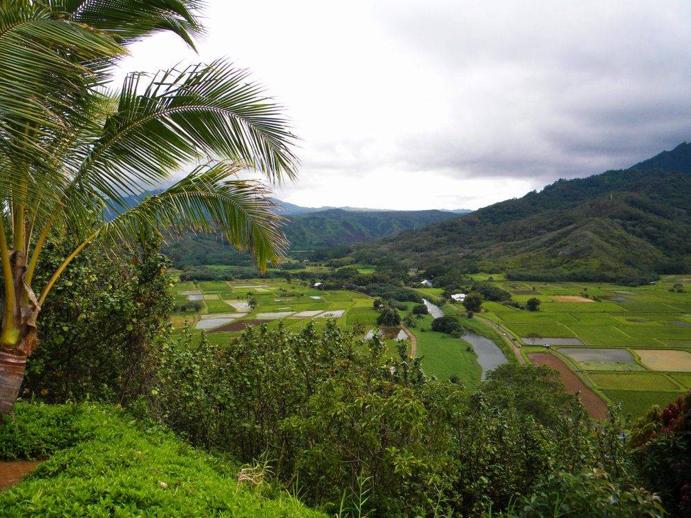 View of the Valley.jpg