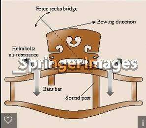 violn cross section.jpg