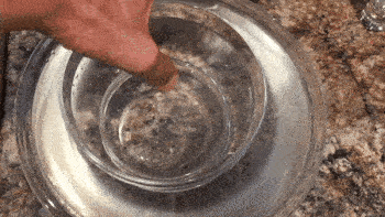 water.gif