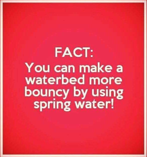 waterbed more bouncy.jpg