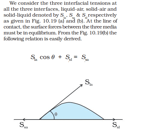 What Exactly are different tension forces.png