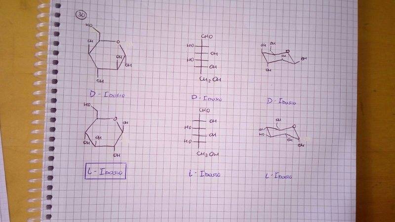 WhatsApp Image 2017-07-01 at 08.38.56.jpeg