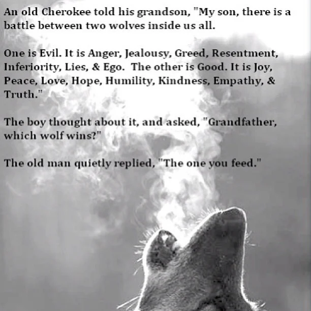 which-wolf-do-you-feed.webp