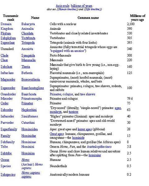 Wikipedia Human Taxonomy.jpg