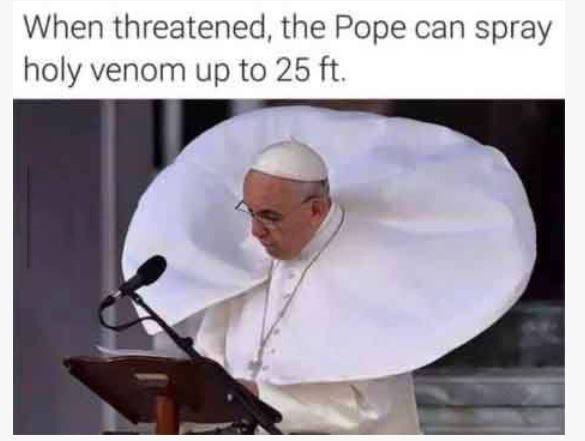 wind blown pope.JPG