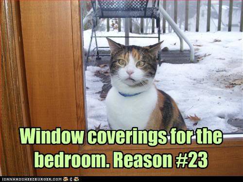 WindowCoverings4TheBedroom23.jpg