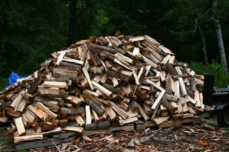 woodpile.jpg