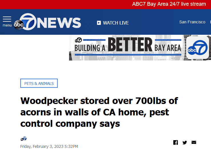 Woody headline.png