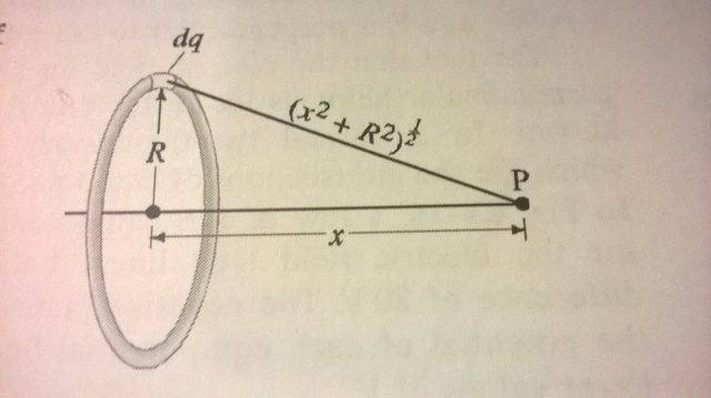 WP_20150917_004.jpg