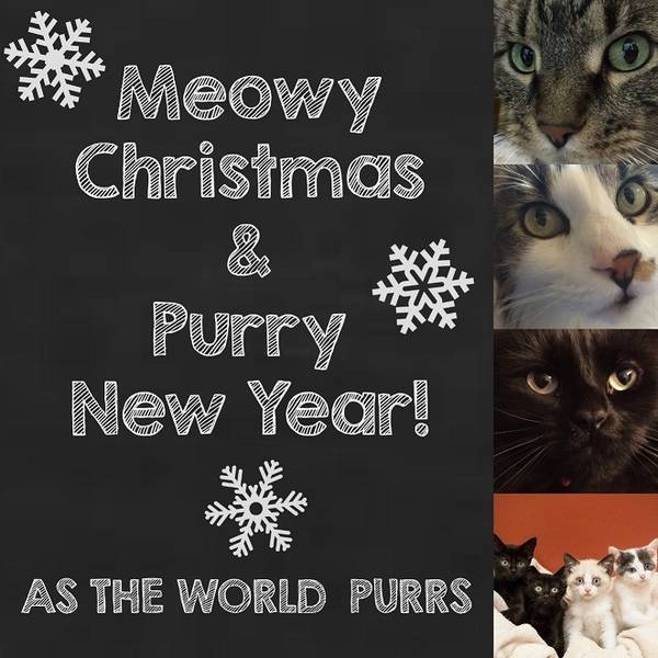 xmas2015-astheworldpurrs.jpg