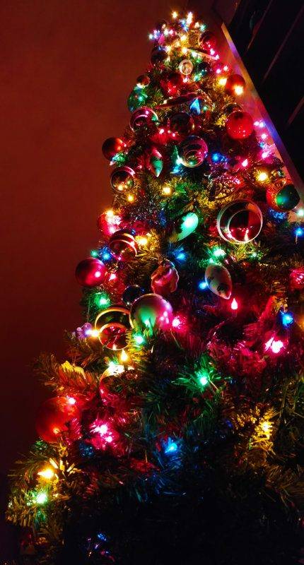 xmastree.JPG