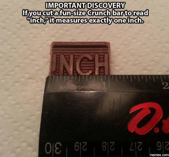 xVGtqT4.jpg