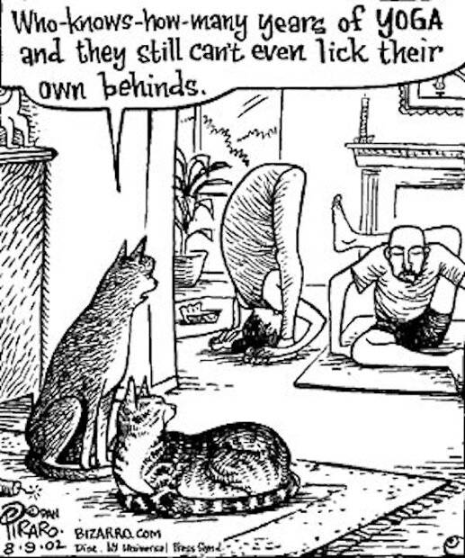 yoga2.jpg