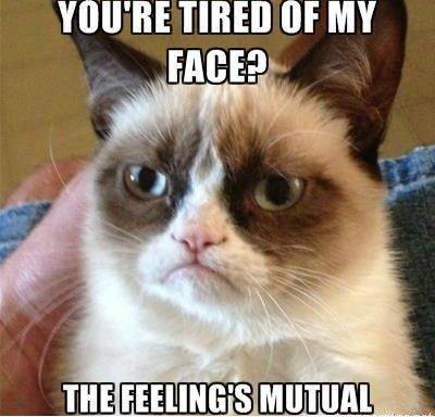 You-are-tired-of-my-face-grumpy-cat.jpg
